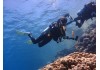 Der Open Water Diver Kurs