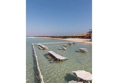 Snorkeling dalla barca e dall'isola