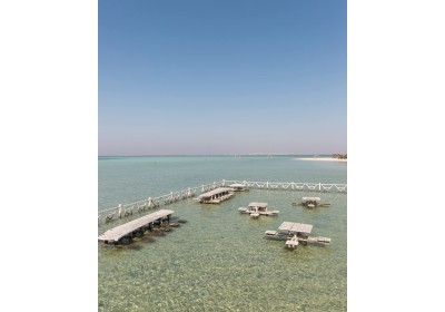 Snorkeling dalla barca e dall'isola