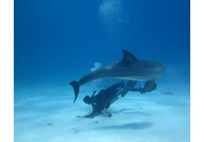 2 plongées depuis le bateau