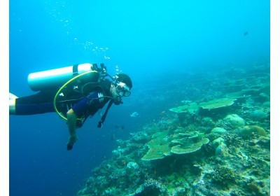 Curso de Rescue Diver (Curso de Buceo de Rescate)