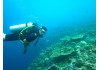 Rescue Diver Course in Hurghada